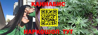 гидра Гай