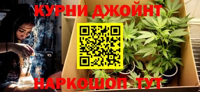 гидра Гай