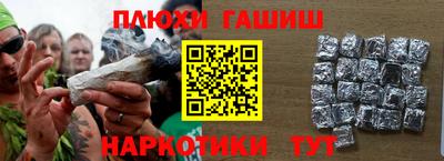 гидра Гай