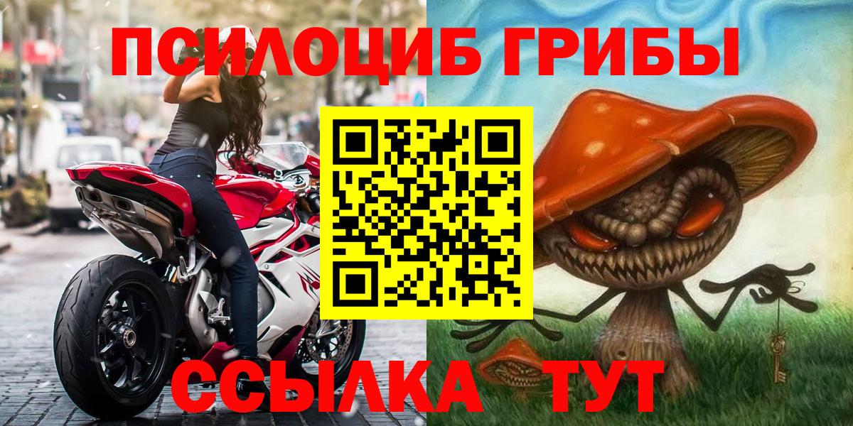 Дербент  Галлюциногенные грибы прущие грибы  Вход с VPN 